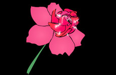 flash玫瑰花生长过程动画