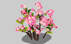 鲜艳的梅花树flash动画
