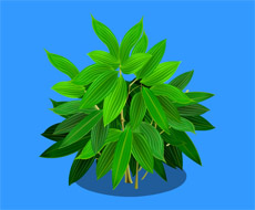 繁茂的绿叶flash植物动画