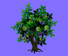 橄榄树矢量图flash素材