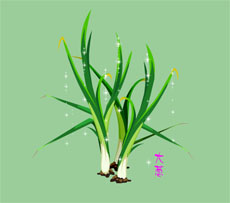 矢量植物大葱flash动画