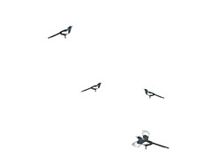 五只燕子飞来飞去flash动画