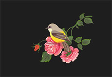 牡丹花上的鸟儿flash动画
