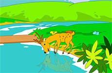 狮子和鹿的故事flash动画