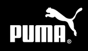 Puma2