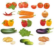 各种新鲜蔬菜矢量素材下载