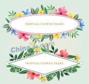 彩绘热带花卉框架矢量素材