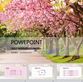 粉色樱花PPT模板下载