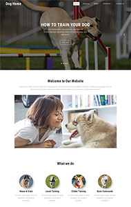 宠物狗训练学校网站模板