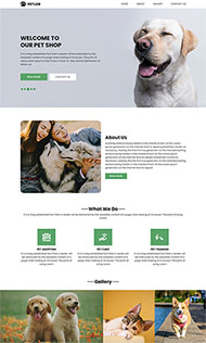 宠物领养公益平台网站HTML模板