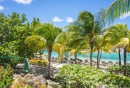 加勒比海夏天图片