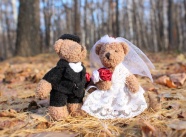 泰迪熊结婚图片
