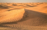 撒哈拉沙漠旅游图片