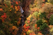 秋季树叶河流风景图片