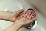 关于洗手的图片