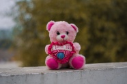 粉色泰迪熊玩具图片