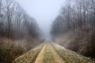 冬季森林山路景观图片