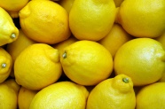 黄色柠檬丰收图片