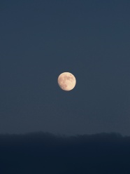 黑夜天空月亮图片