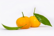 新鲜黄色橘子图片
