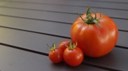 大小西红柿素材图片
