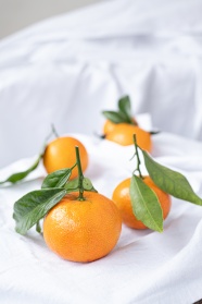 新鲜橙色柑橘图片
