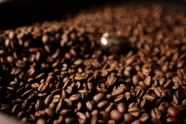 饱满棕色咖啡豆摄影图片