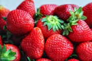 新鲜红草莓丰收图片