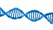 DNA螺旋分子结构图片