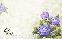 韩国紫色花卉装饰背景图