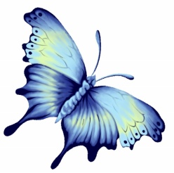 彩绘蓝色蝴蝶源文件