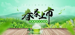 春茶上市PSD宣传海报