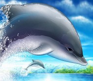海豚分层模板PSD