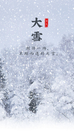 大雪二十四节气雪花实景手机海报