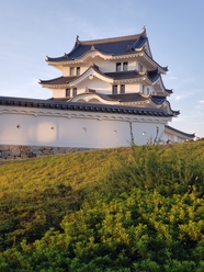 日式寺塔阁楼建筑图片