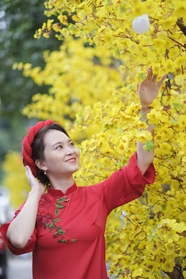 亚洲红色刺绣奥黛旗袍美女图片