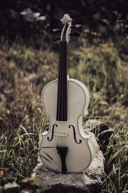 户外荒野白色小提琴图片