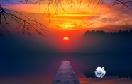 黄昏落日湖泊白色天鹅美景图片