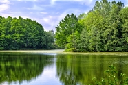 春天绿树湖泊风光摄影图片