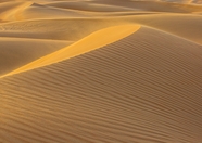 金黄色沙漠风景摄影图片