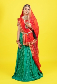 美丽印度传统服饰美女写真图片