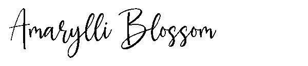 Amarylli Blossom字体