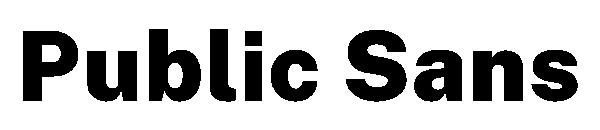 Public Sans字体