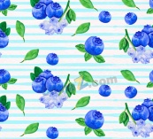 水彩绘蓝莓无缝背景矢量