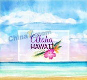 彩绘夏威夷大海和花卉矢量