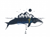 手绘鲸鱼图案插画设计
