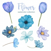 蓝色水彩花朵矢量素材