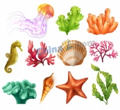 水下生物逼真矢量素材设计