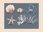 海洋主题生物元素矢量