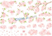 优雅樱花春季主题合集矢量素材